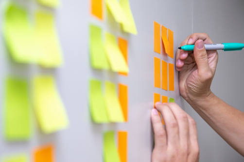 developer scrum